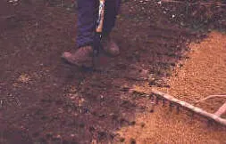 Sand can be added and forked in to heavy clay soils for the lawn