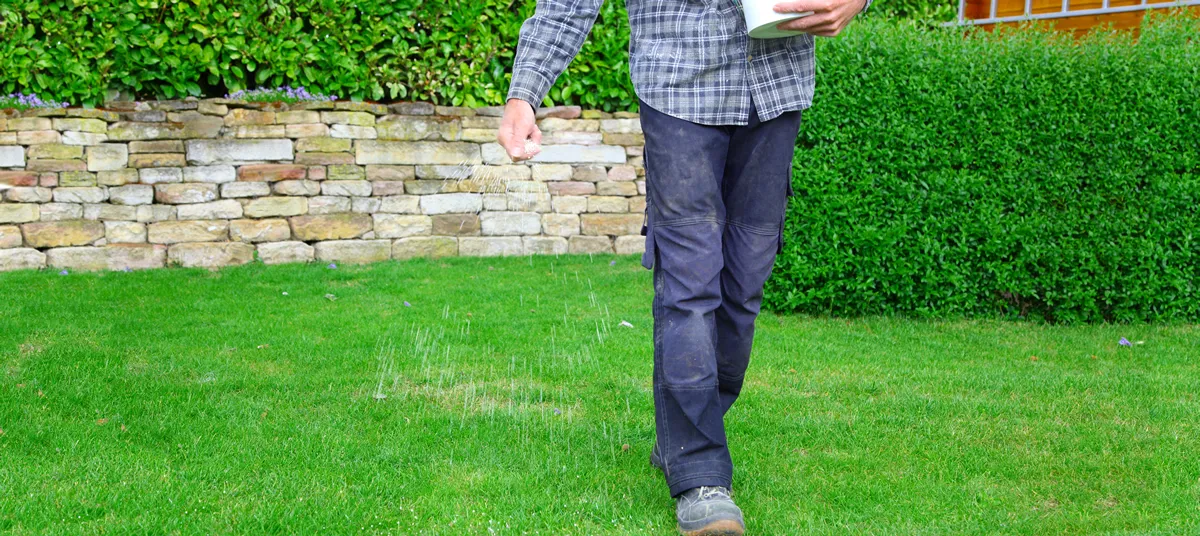 panoramic view of one Man, farmer is fertilizing the lawn soil. male hand of worker, Fertilizer For Lawns in springtime for the perfect lawn. Organic lawn fertilizer in man's hand on garden background