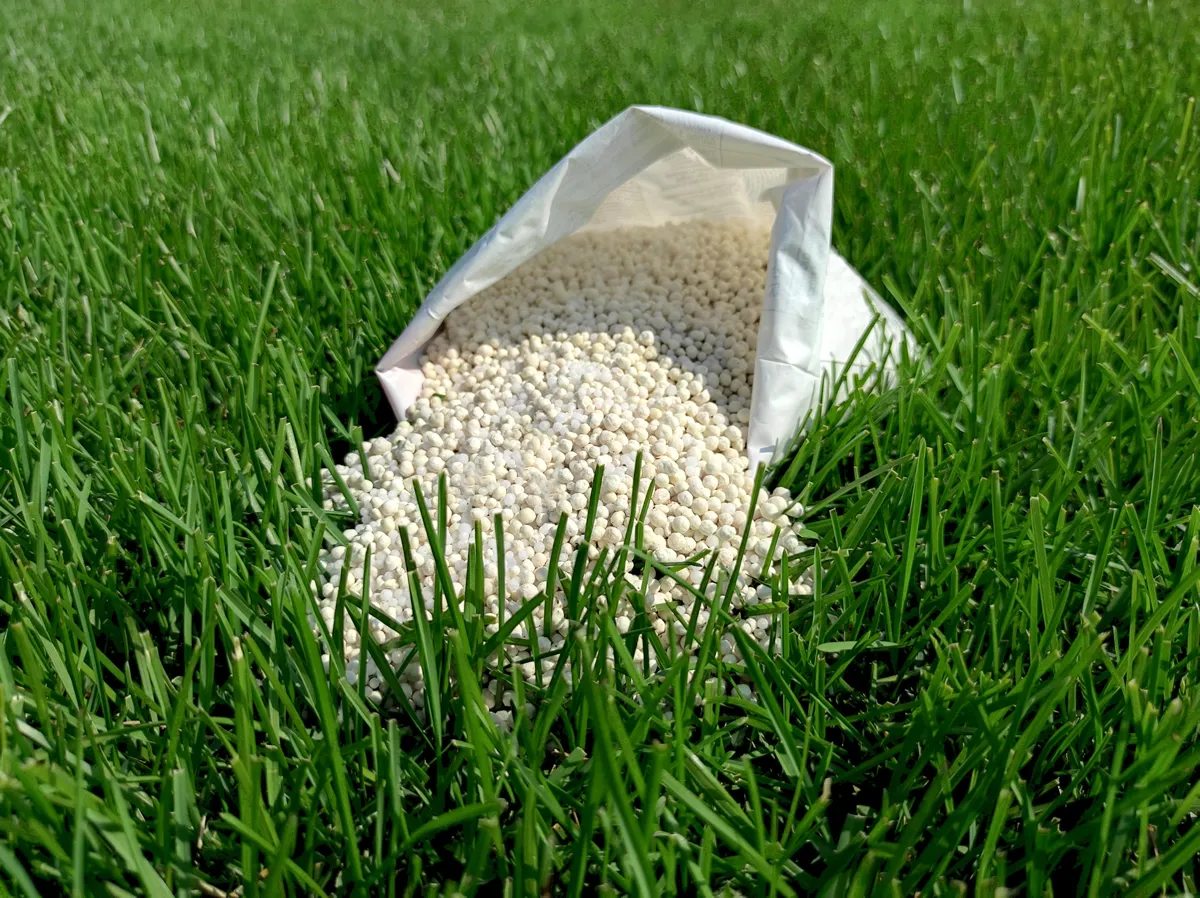 Fertilizer for grass, lawn, meadow in a bag of white granules on a background of green grass. Close up of mineral fertilizer granules used on grass lawns and gardens to maintain health and growth.