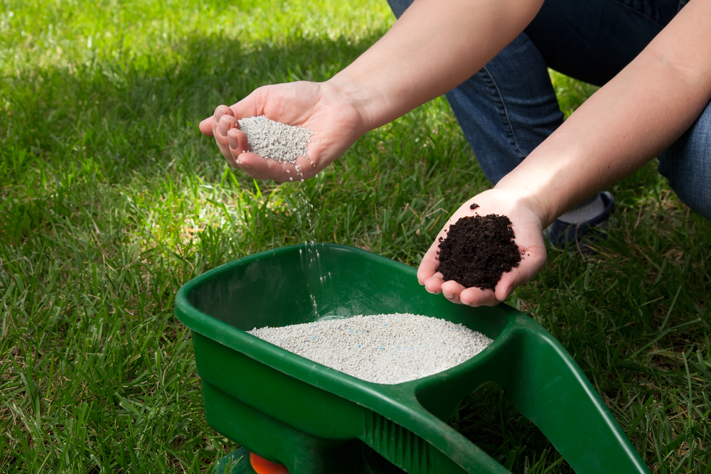 Preparing to fertilize lawn in back yard in spring time
