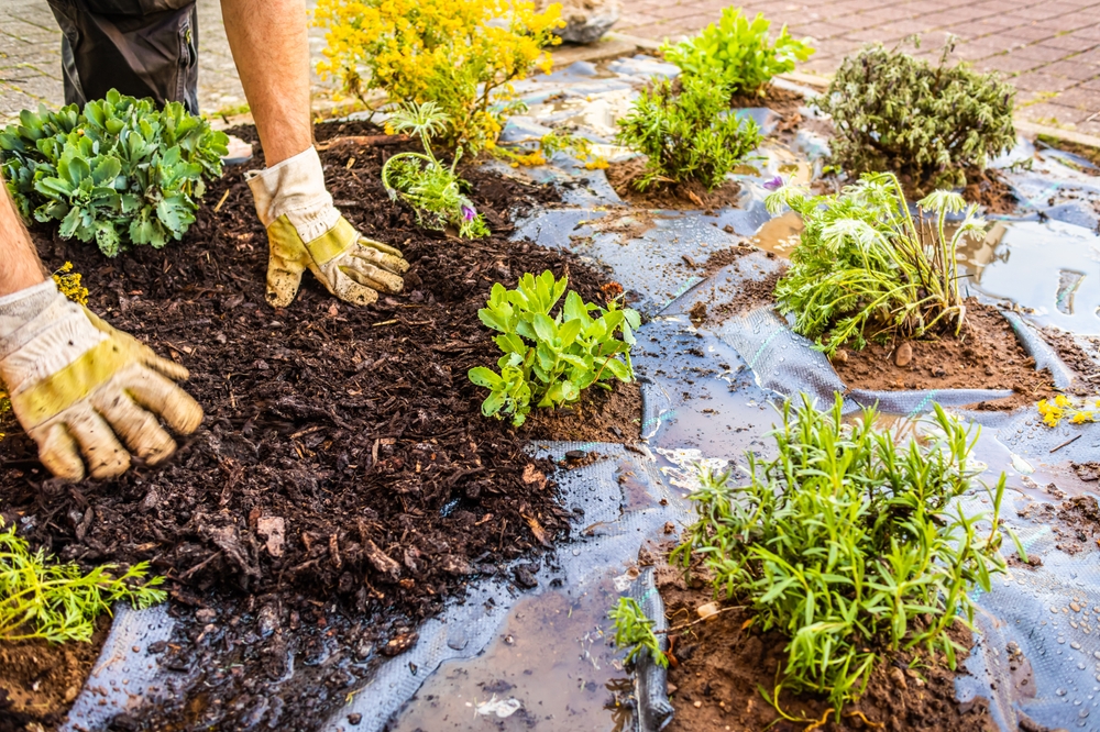 Installing weed control fabric material and bark mulch in a residential garden to control weed spreading