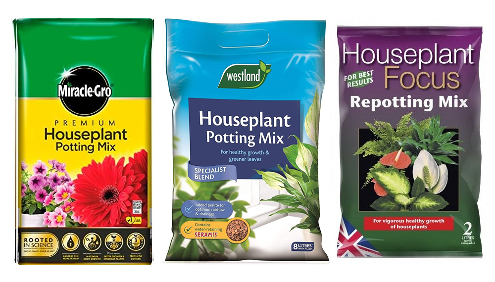 Indoor Compost Varieties