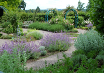A large herb garden