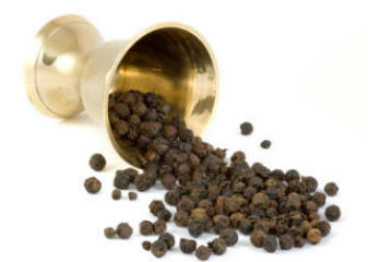 Black Pepper Seeds - Piper Nigrum