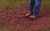 Leveling Lawn Tips