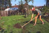 Rake Through the Mix