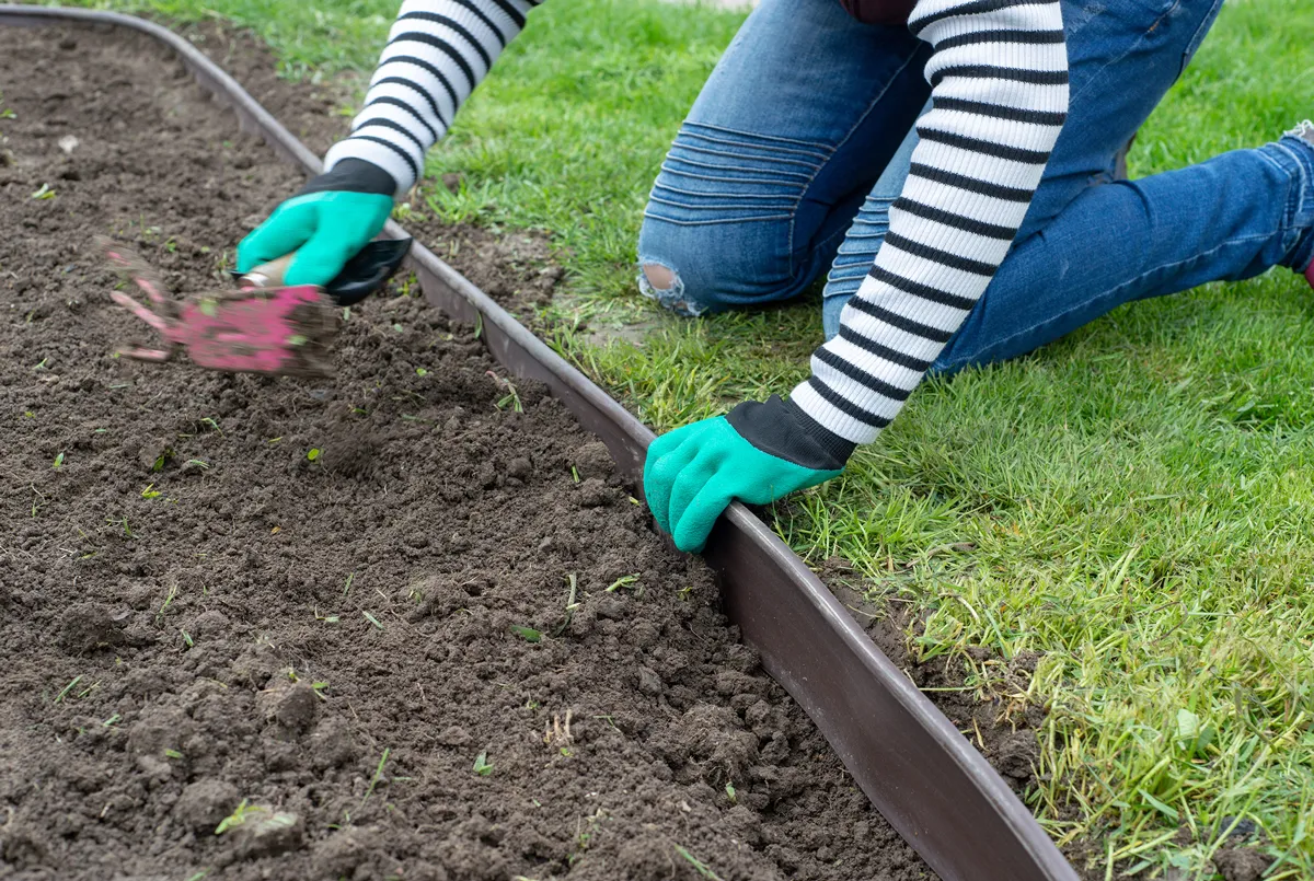 Create lawn edge in the garden