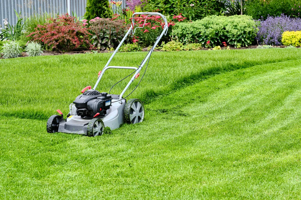 A lawn mower on a lush green lawn surrounded by flowers. The back yard of the house.