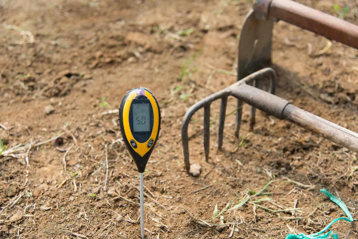 Use soil PH meter for check the PH value