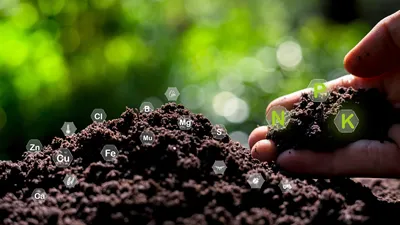 Monitor soil quality to control soil quality, soil composition concept of smart farm agricultural economic development. And there are technology icons about the composition of the soil around it.