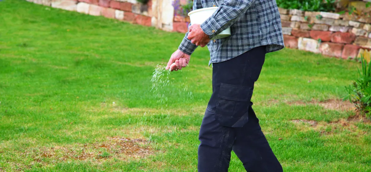 panoramic view of one Man, farmer is fertilizing the lawn soil. male hand of worker, Fertilizer For Lawns in springtime for the perfect lawn. Organic lawn fertilizer in man's hand on garden background