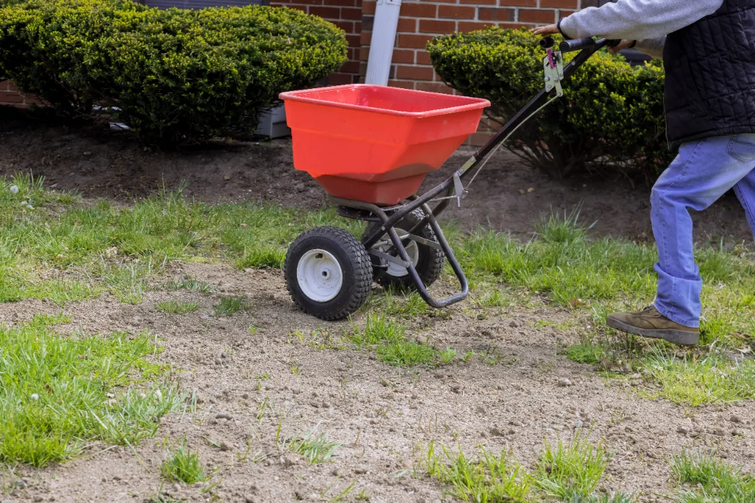 The gardener works with seeding and fertilizing the lawn sows fresh grass on residential backyard