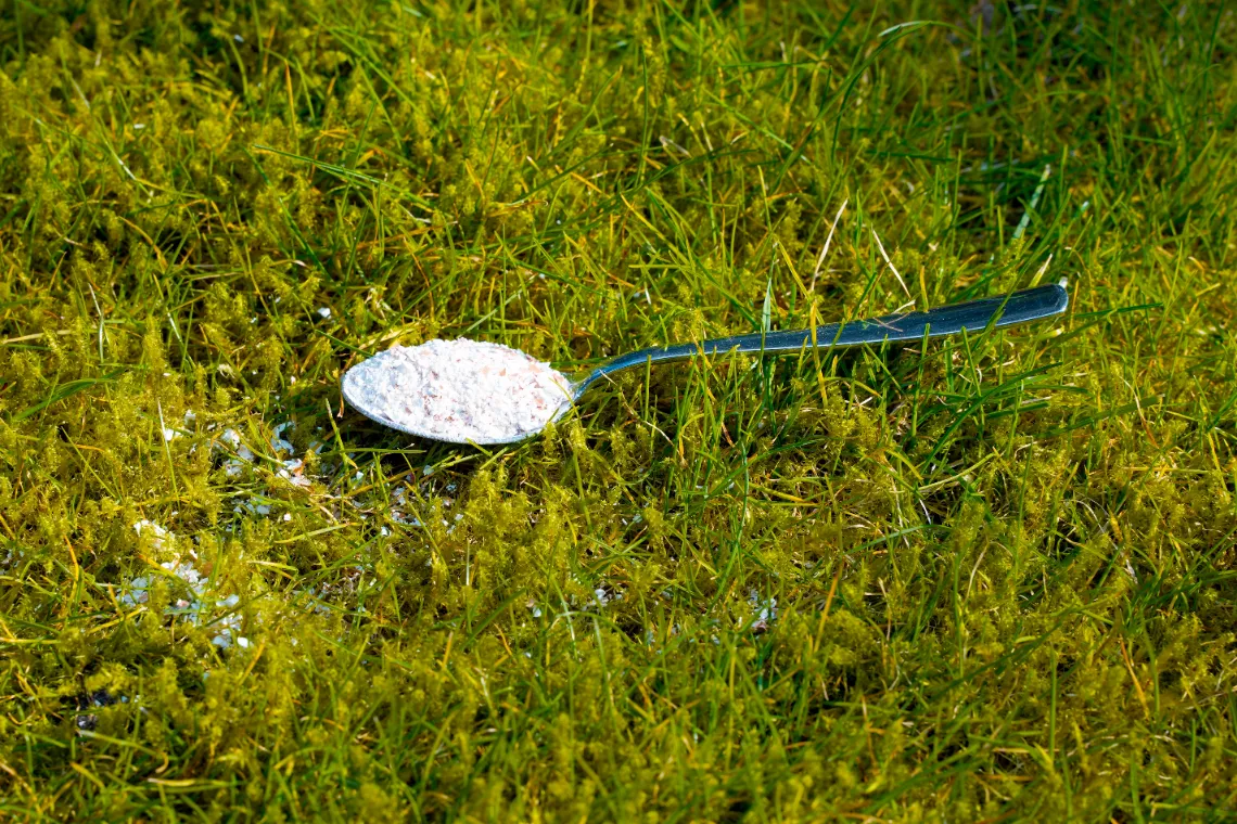 Crashed eggshells as natural lime fertilizer to remove the moss on the green lawn