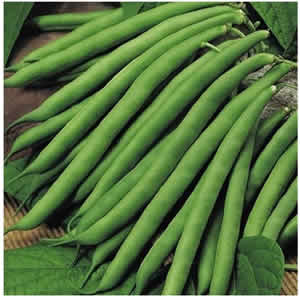 French Beans