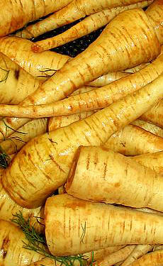 Parsnip crop