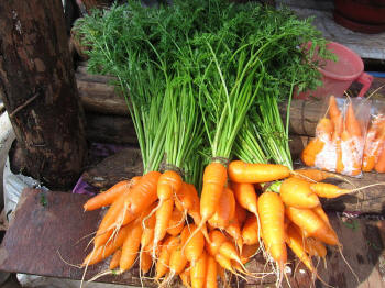 Assorted forked carrots