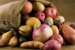 Assortment of potatoes for storing