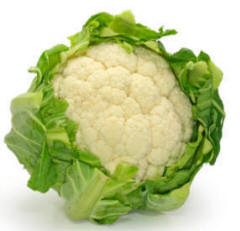 A perfect - well-grown cauliflower. A Brassica
