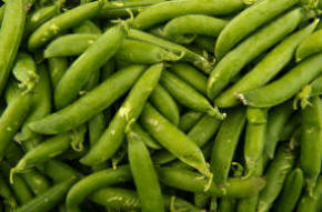 Pods of garden peas